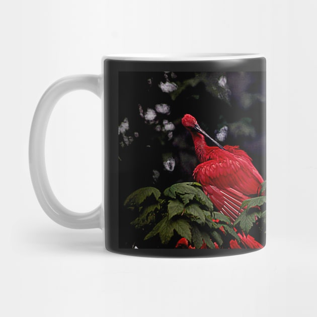 Scarlet Ibis by Ladymoose